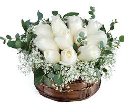 15 white roses arrangement