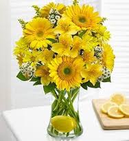 36 Yellow gerberas vase