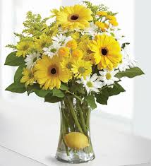 Yellow gerberas vase