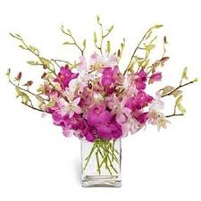 Orchids in a galss vase