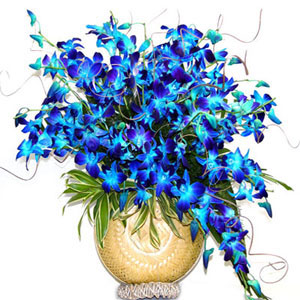 Blue Orchids vase