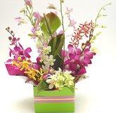 Orchids basket