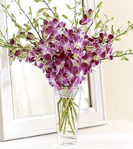 Orchids in a vase