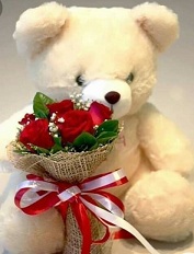 White or cream Teddy 1 foot with bouquet of 6 red roses