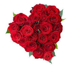 50 Red roses heart