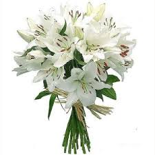 A bouquet of white lilies