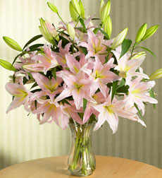 Pink Lilies in vase