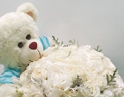 White or cream Teddy with blue ribbon and white roses in a basket