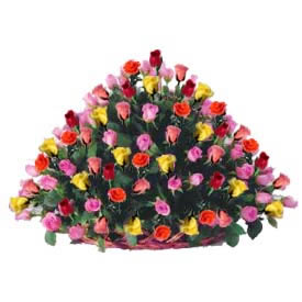 200 multicolor roses basket