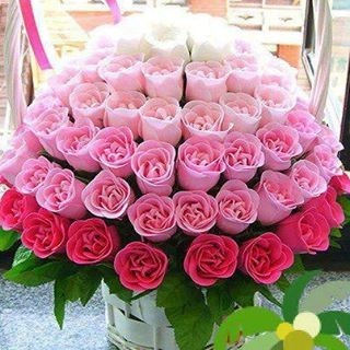 80 shaded roses arrangement