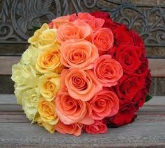 24 ombre roses basket