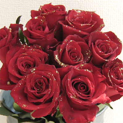 18 red roses with tinsel