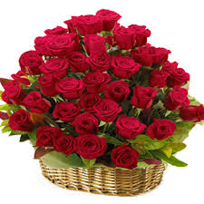 50 red roses basket