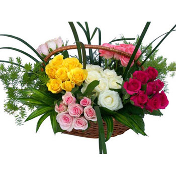 100 multicolor roses basket