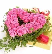 100 pink roses heart