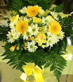 30 white gerberas vase