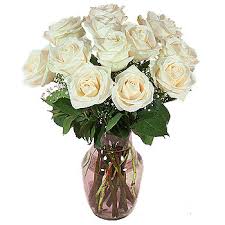 12 White roses arranged in a vase