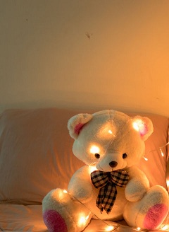 White or cream 6 inch Teddy with string lights and roses